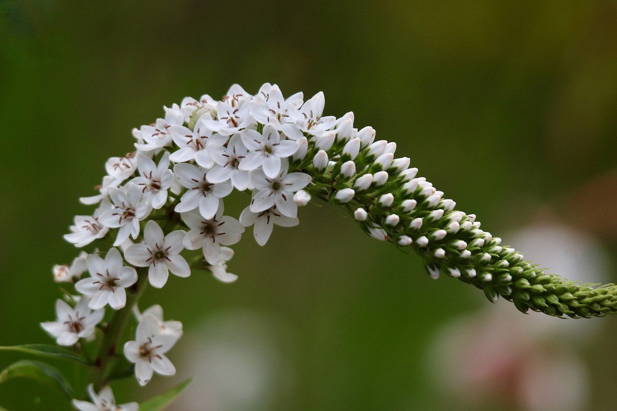 After - Crystal Clear Enhancement