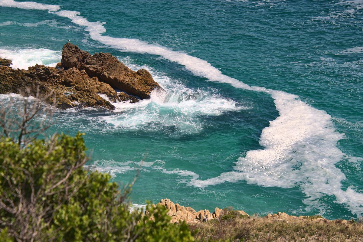 After - Print-Ready Sharp Image