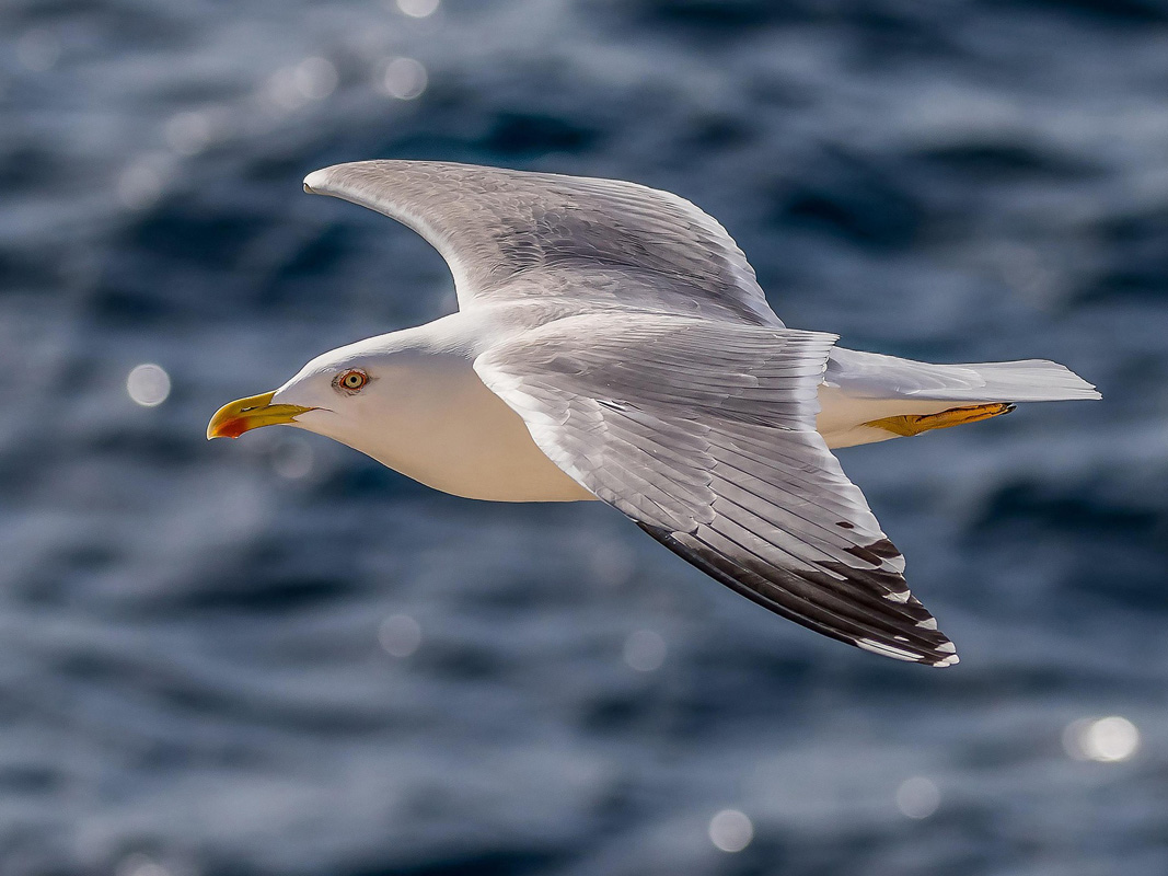 After - Motion Blur Removed